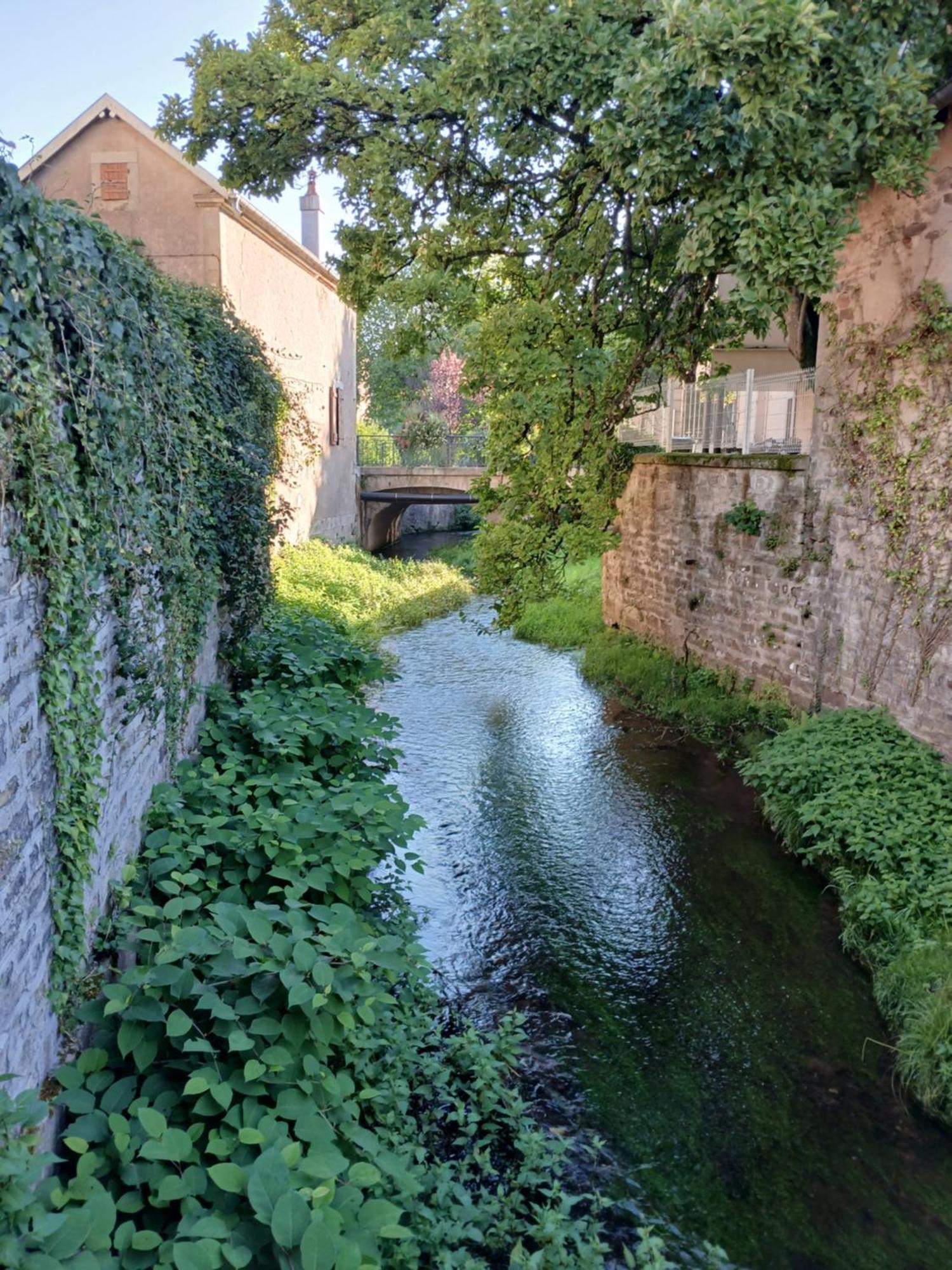 Manoir La Cerise Bed & Breakfast Fougerolles-Saint-Valbert Exterior photo